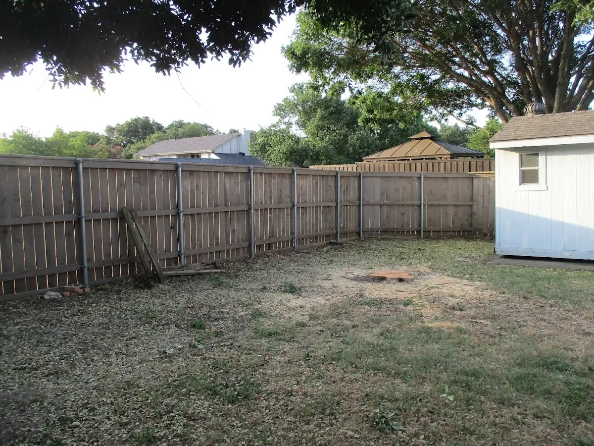 Cleared yard after professional tree removal in Parkdale